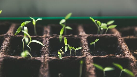 Крупнейший посевной раунд Долины: стартап экс-СТО OpenAI привлёк $2 млрд за идею