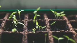 Крупнейший посевной раунд Долины: стартап экс-СТО OpenAI привлёк $2 млрд за идею Крупнейший посевной раунд Долины: стартап экс-СТО OpenAI привлёк $2 млрд за идею