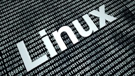 Linux избавят от неполиткорректной терминологии