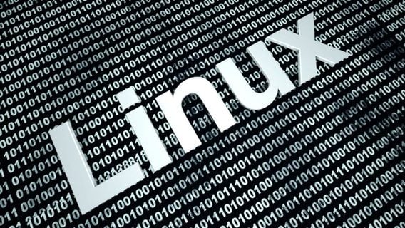 Linux избавят от неполиткорректной терминологии