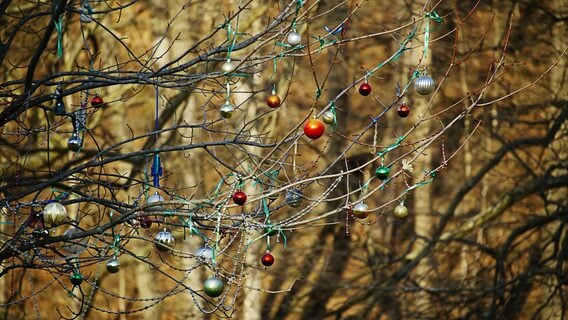 «Руководство помешалось на AI». Что бесило и радовало на работе в 2025 (она была — уже хорошо!)