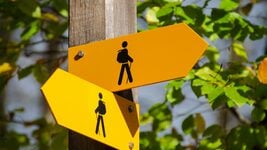 «Праблема не ў ШІ, а ў страху памыліцца»: прафесар Кембрыджа пра тое, чаму кампаніі масава звальняюць людзей «Праблема не ў ШІ, а ў страху памыліцца»: прафесар Кембрыджа пра тое, чаму кампаніі масава звальняюць людзей
