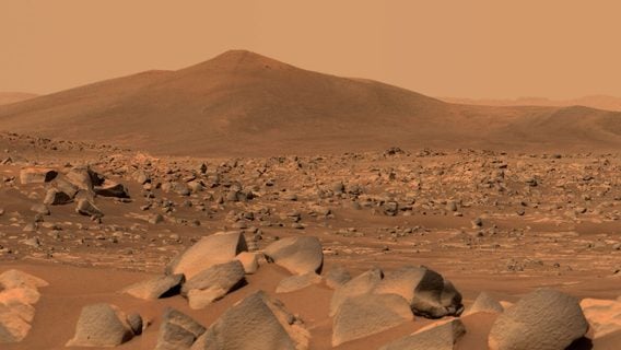  В NASA показали видео самого долгого полёта Ingenuity на Марсе
