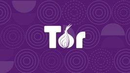Роскомнадзор разблокировал Tor