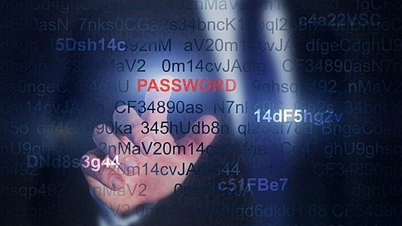 Менеджер паролей 1Password привлёк $200 млн в первом раунде 