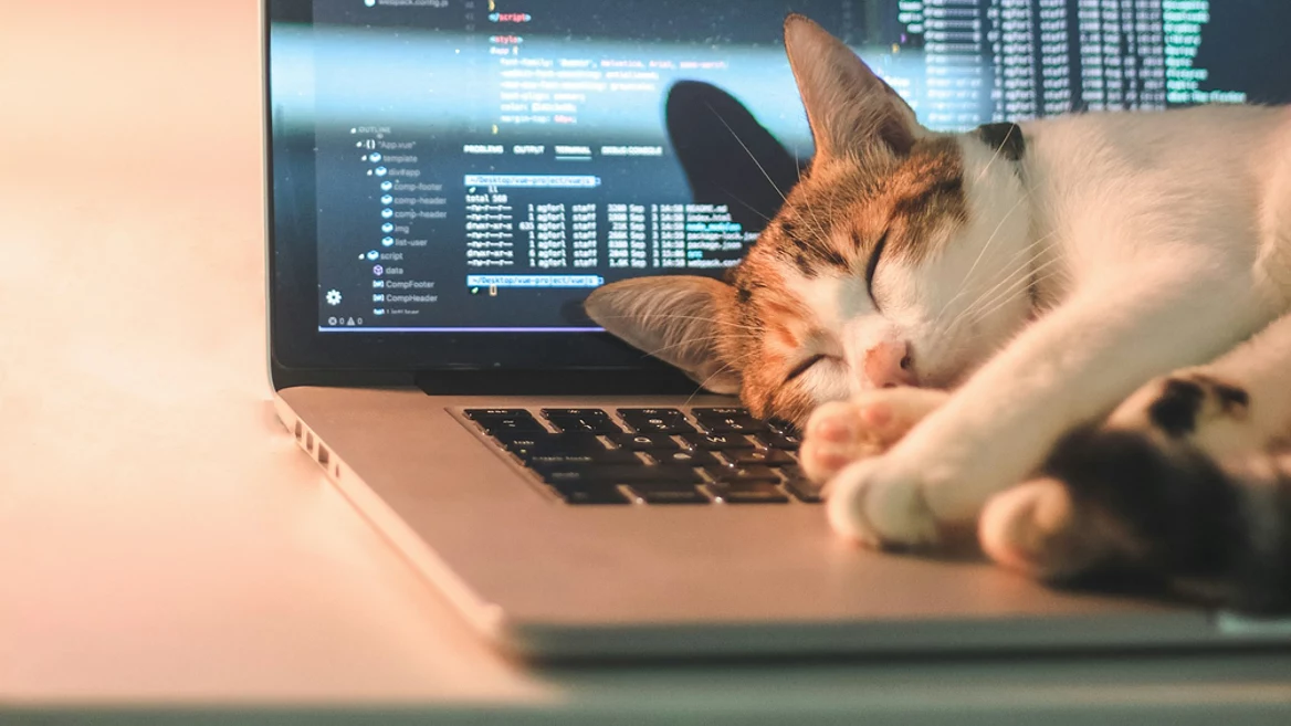 Создатель Claude Code говорит что название «разработчик софта» начнёт умирать уже в этом году