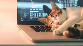 Создатель Claude Code говорит, что название «разработчик софта» начнёт умирать уже в этом году