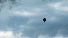 Латвия и Эстония тоже могут закрыть границу с Беларусью, если контрабандные шары не прекратятся — премьер Литвы