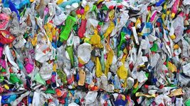 20 компаний создают больше половины мировых пластиковых отходов