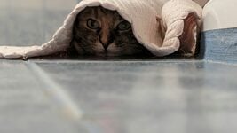 «Зря скрываете, откуда вы». Польский инвестор вложился в 4 стартапа с фаундерами из Беларуси — вот инсайды