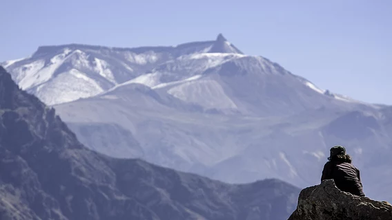 Когда «быстро» уже мало: подборка курсов по Rust и системному программированию для High-Load