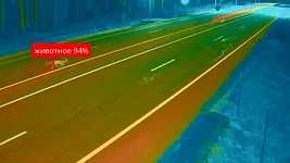ИИ начал искать лосей на беларусских трассах