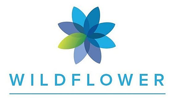ISsoft разрабатывает популярное приложение «Wildflower Health» 