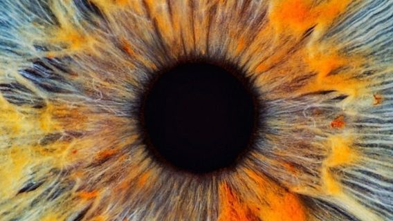 Ученые оживили клетки в глазах умершего человека