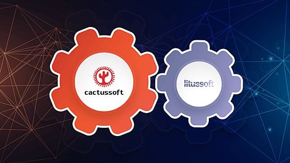 CactusSoft и Litussoft теперь одна команда 