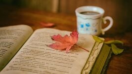Читать быстрее, запоминать лучше: Топ курсов, которые экономят время и открывают новые возможности Читать быстрее, запоминать лучше: Топ курсов, которые экономят время и открывают новые возможности