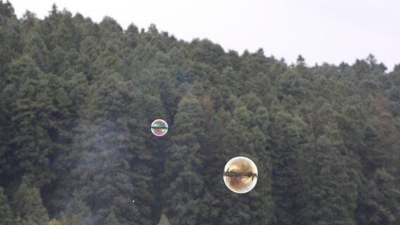 Акцыі EPAM вырастуць, AI-бурбалка лопне? Айцішнікі самі робяць прагнозы на 2026 (без экспертаў!)