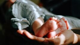 В Кремниевой долине появилась мода на «умных детей»: богатые айтишники выкладывают десятки тысяч долларов за оптимизацию нового поколения