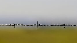 Польшча пабудавала электронную сцяну на мяжы з Беларуссю па Бугу Польшча пабудавала электронную сцяну на мяжы з Беларуссю па Бугу
