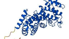 DeepMind опубликовала базу данных структур всех известных белков