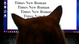 Россиянам закрыли доступ к шрифтам Times New Roman, Arial, другим