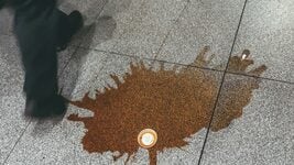 Беларусы скардзяцца, што з Ozon занадта доўга ідуць пасылкі. Здаецца, маркетплэйс няўдала паэксперыментаваў