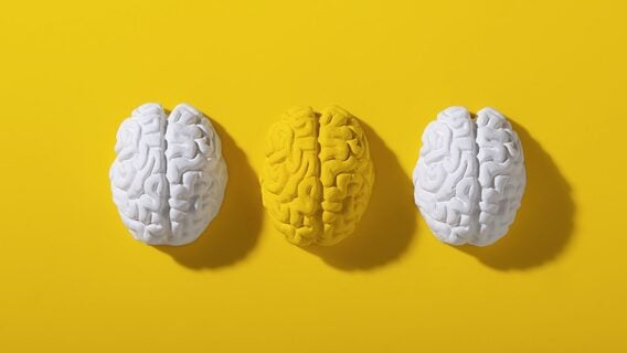 Anthropic: зависимость от ИИ в обучении вызывает «гниение мозга»