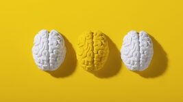Anthropic: зависимость от ИИ в обучении вызывает «гниение мозга» Anthropic: зависимость от ИИ в обучении вызывает «гниение мозга»