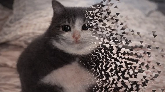 На рынке не досчитались 500 000 программистов из-за ИИ