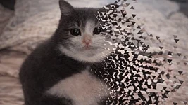 На рынке не досчитались 500 000 программистов из-за ИИ