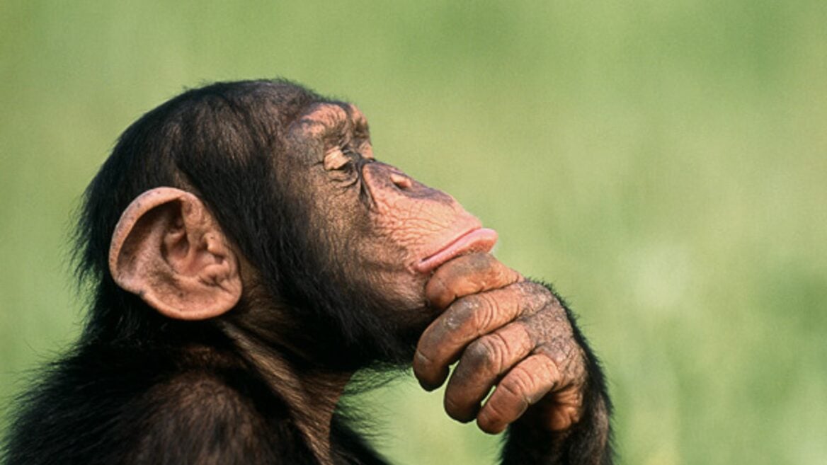 Чаму ШІ думае даўжэй там дзе думаць амаль не трэба — навукоўцы знайшлі адказ