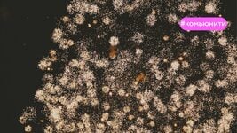 От курсов EPAM до ипотеки в Англии. Итоги года в блогах на dev.by