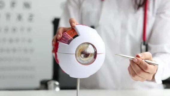 ИИ научился «видеть по-человечески»: разбираться в смысле, а не пикселях