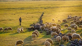 «Вы ходячий red flag». 10+ лет в одной компании — проблема?