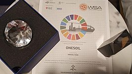 OneSoil назван лучшим экологическим проектом World Summit Awards