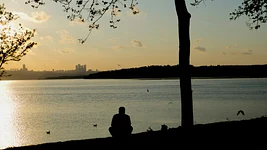 «Их ремесло умерло»: калифорнийский инвестор о депрессии и кризисе идентичности среди программистов