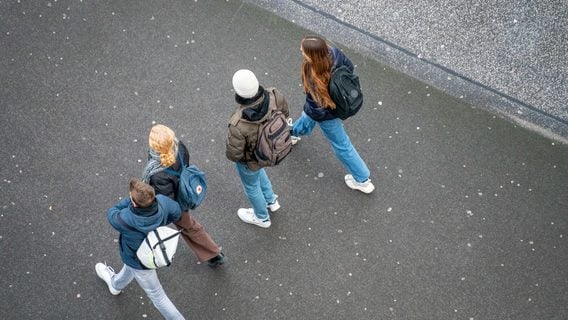 «Сложно». Как выпускники-айтишники (не) находят работу в 2023-2025