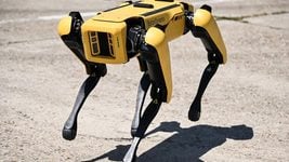 Робопёс Boston Dynamics поможет разминировать Бучу