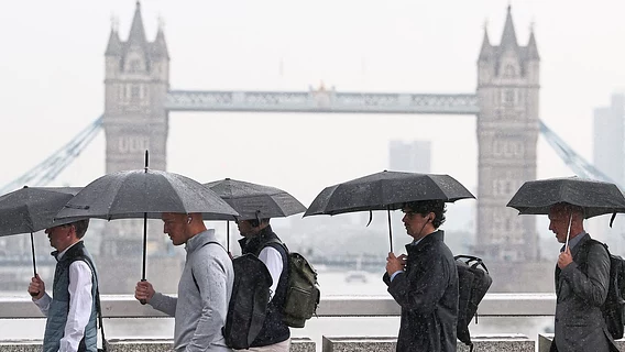 -8% за год: Британия лидирует по потерям рабочих мест из-за ИИ