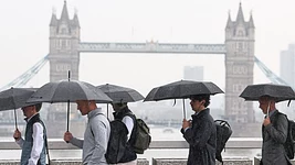 -8% за год: Британия лидирует по потерям рабочих мест из-за ИИ