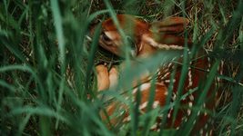 «Я не зумер, я человек». Как конфликтуют поколения в ИТ