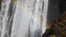 Как выбрать платформу для MLOps: сравнение, советы и лучшие инструменты