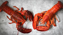 ЗША і Кітай захліснуў культ OpenClaw