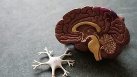 Яму абсалютна ўсё роўна, ёсць мы ці не: даследчык выказаўся аб прапанове прышчапіць ШІ «мацярынскі інстынкт», каб ён нас не забіў