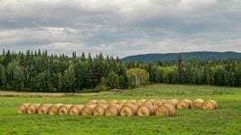 Беларусь заваблівае замежных майнераў