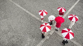 «У компании закончились деньги на фрукты и меня». Как теперь живут преподаватели польского тут и там