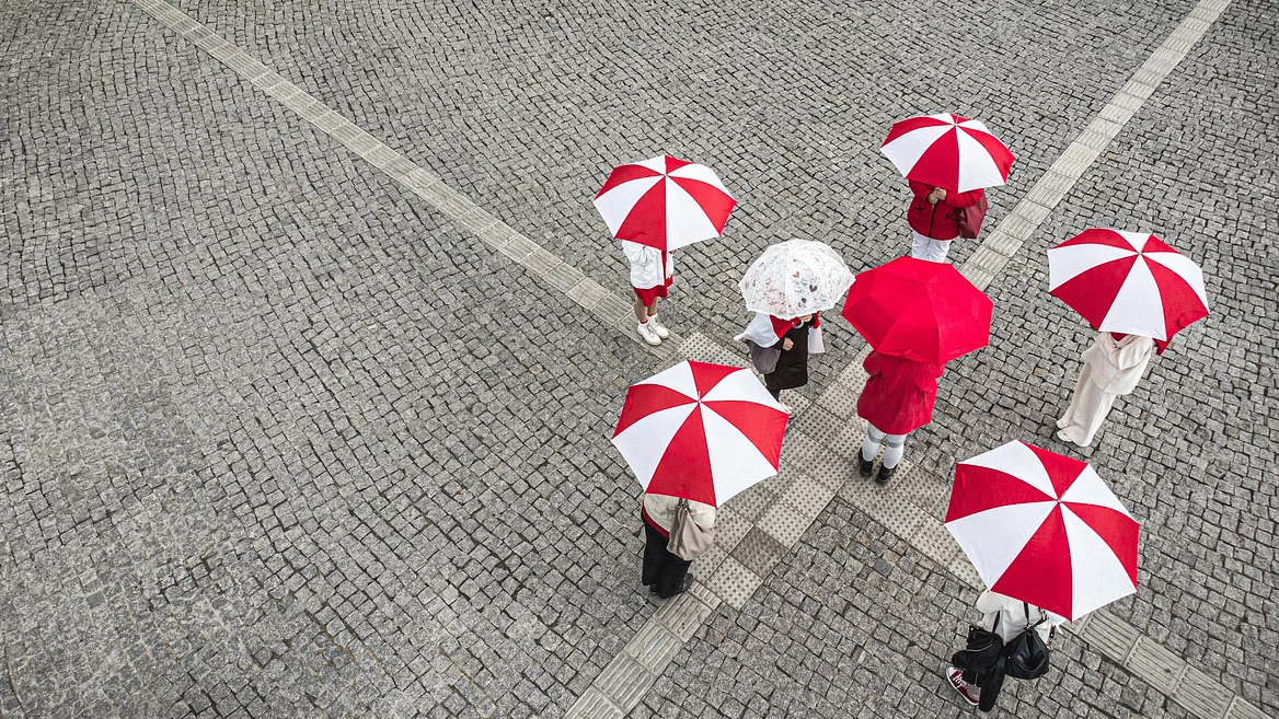 «У компании закончились деньги на фрукты и меня». Как теперь живут преподаватели польского тут и там
