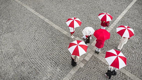 «У компании закончились деньги на фрукты и меня». Как теперь живут преподаватели польского тут и там