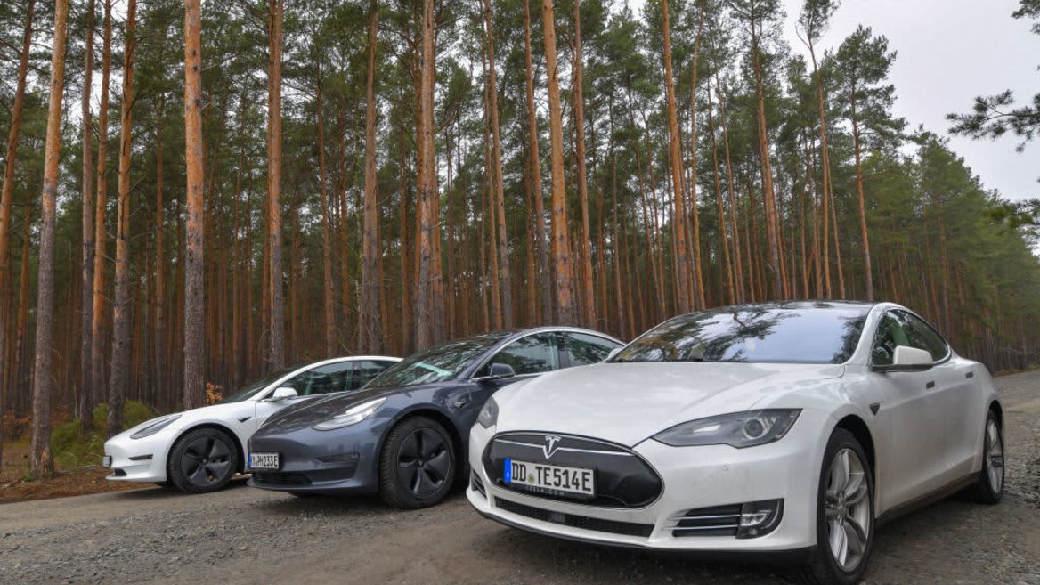Стройка немецкого завода Tesla снова пробуксовывает — на этот раз из-за спящих змей