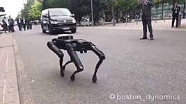 Робособаку от Boston Dynamics «выгуляли» по улицам Ганновера (видео) 